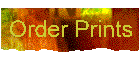 order.gif (2777 bytes)
